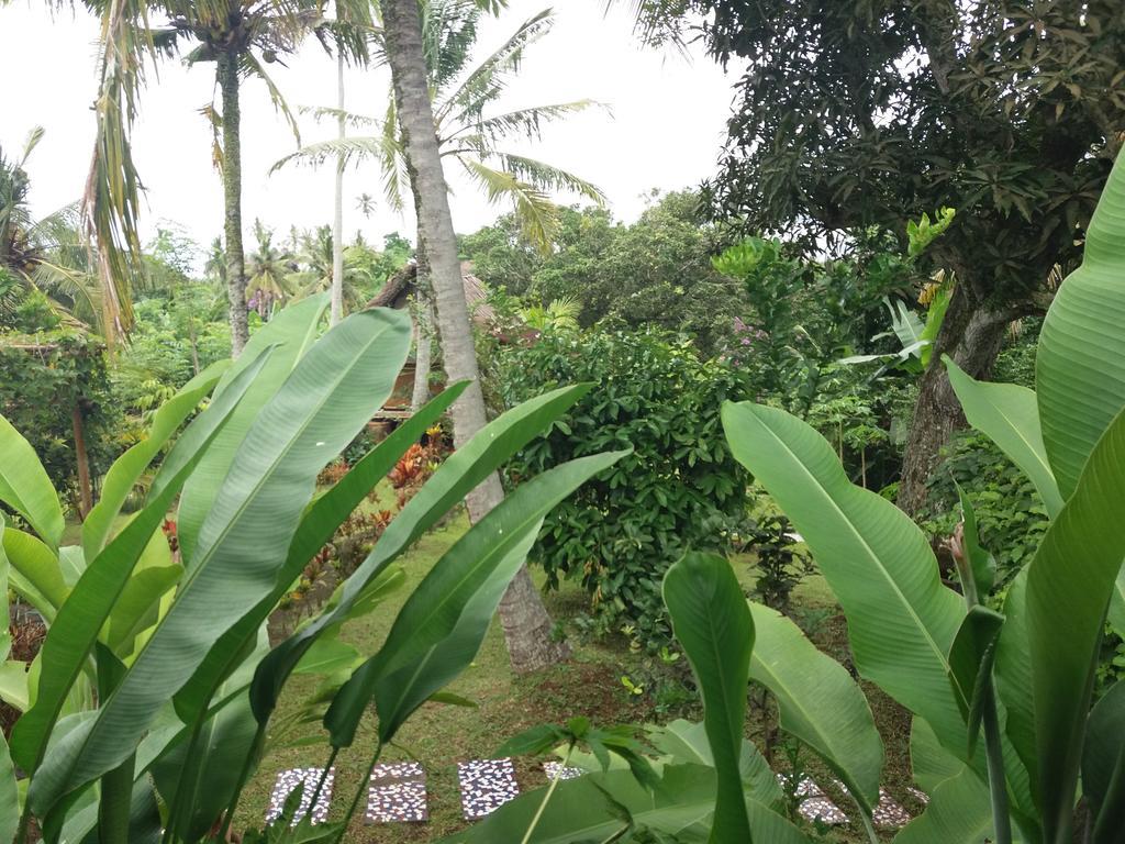 Villa Gede Private Guest House Selemadeg  外观 照片