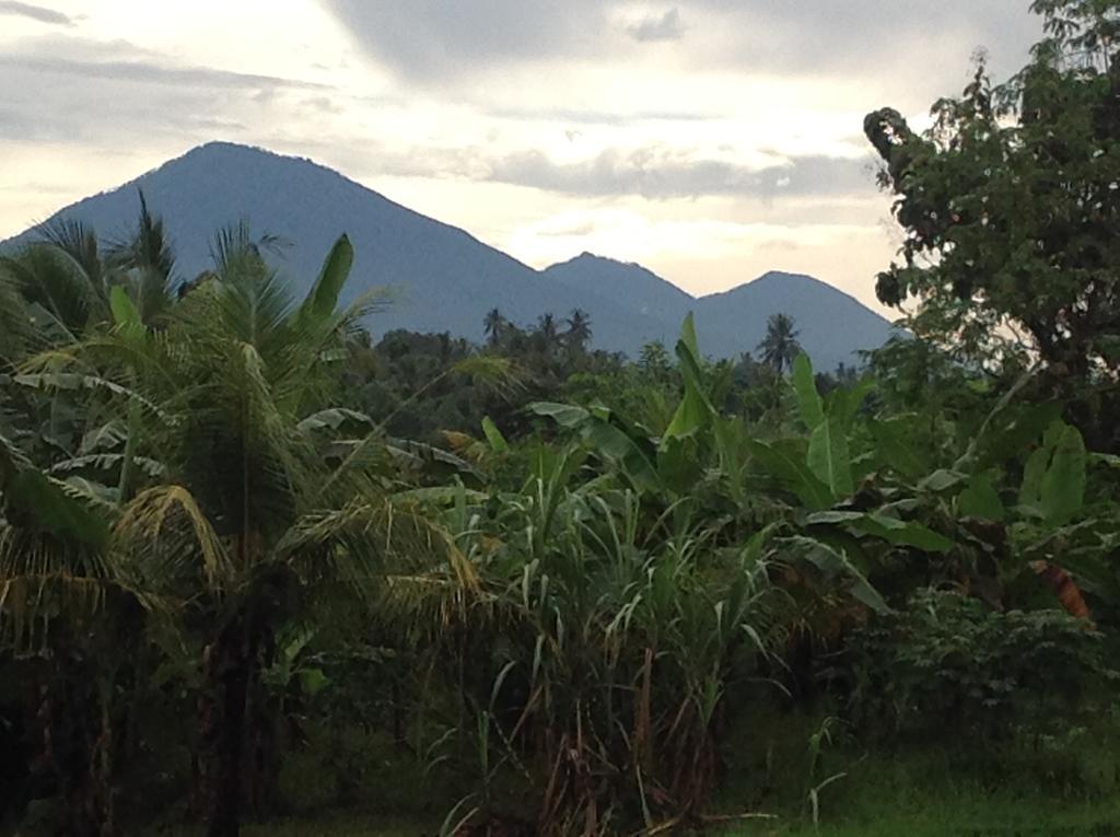 Villa Gede Private Guest House Selemadeg  外观 照片