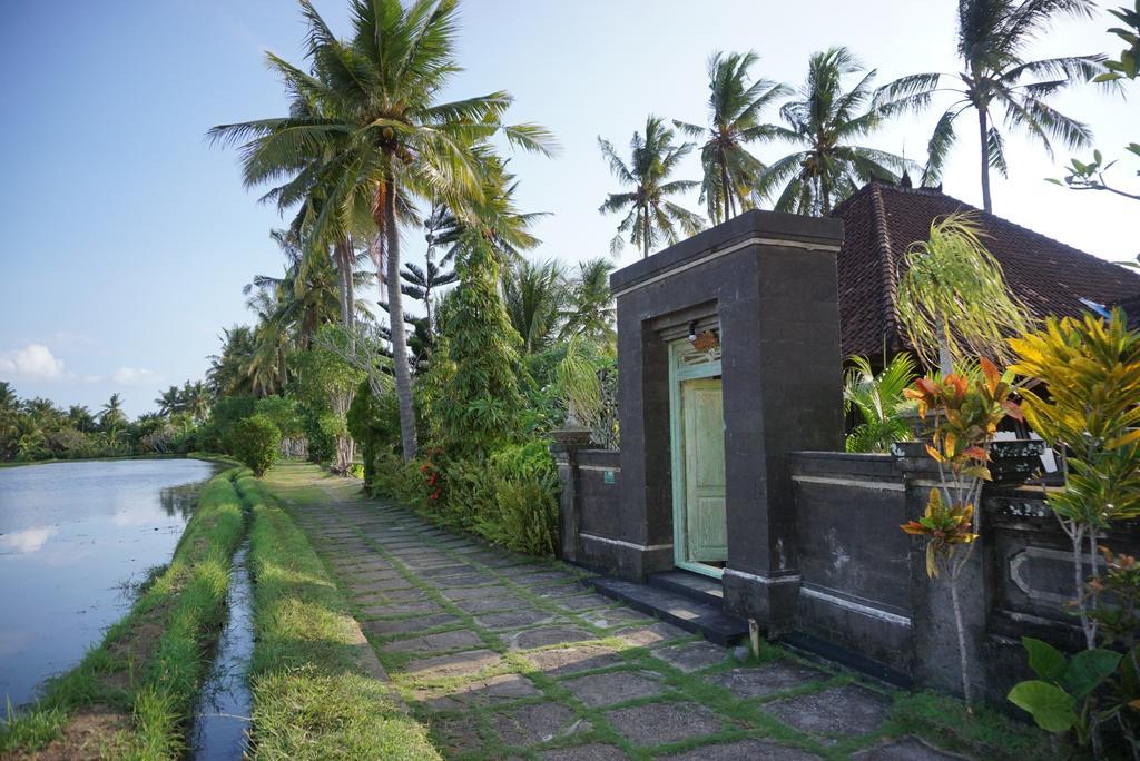 Villa Gede Private Guest House Selemadeg  外观 照片