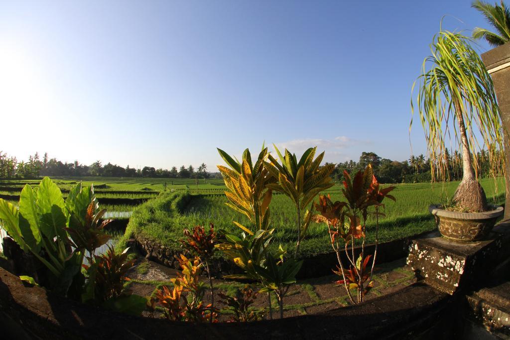 Villa Gede Private Guest House Selemadeg  外观 照片