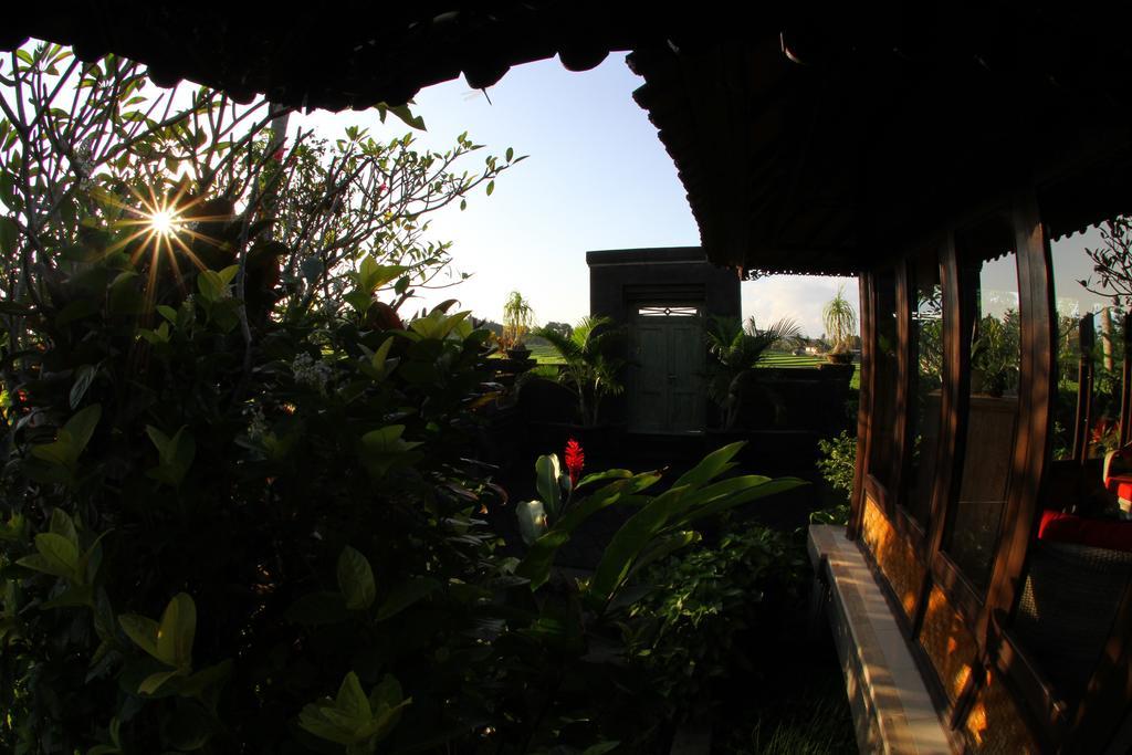 Villa Gede Private Guest House Selemadeg  外观 照片