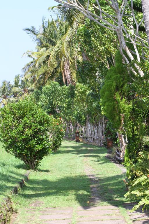Villa Gede Private Guest House Selemadeg  外观 照片